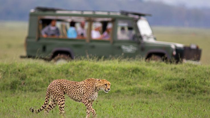 Safari_Maridadi_Classic_10_dias